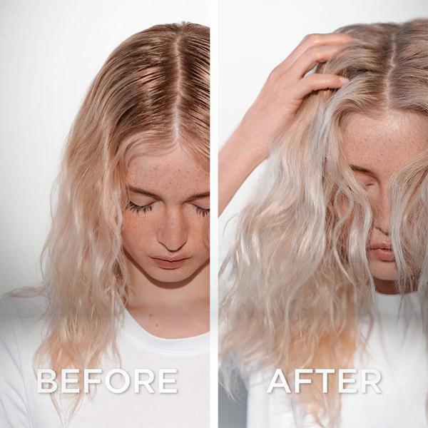 Fresh Affair - Dry Shampoo 5.3oz