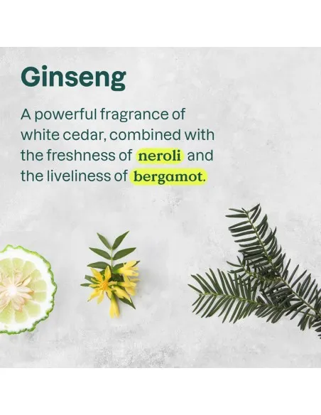 Attitude - Super Leaves - 2-In-1 Shampoo & Body Wash Ginseng & Grape Seed Oil - 473ml