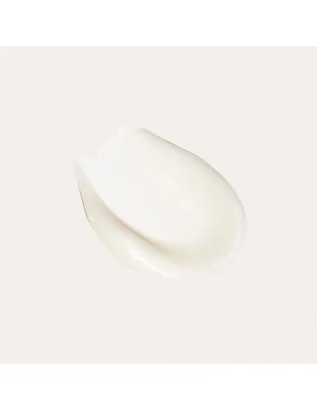 LANZA Healing Curls - Conditioner - 250ml
