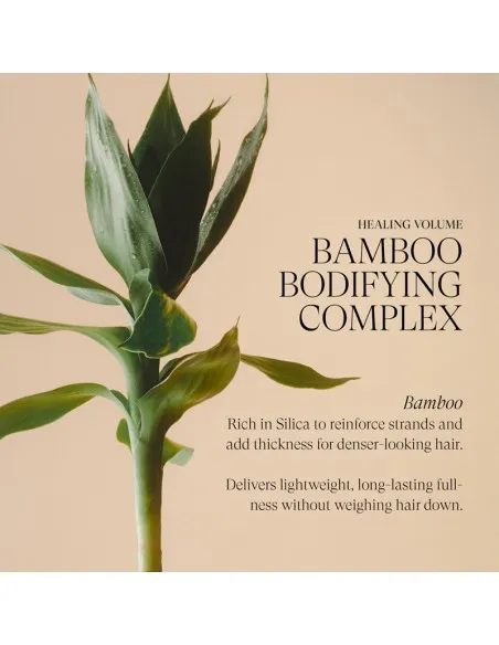LANZA Healing Volume - Shampoo & Conditioner Duo - 950ml