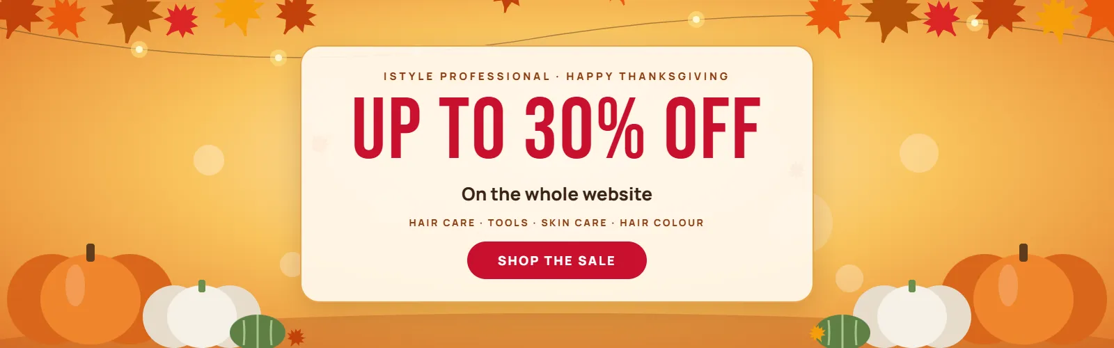Thanksgiving Sale